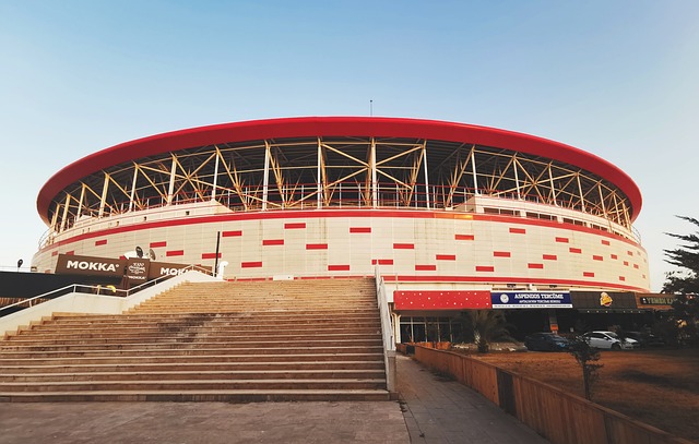 带来了更多 带来了更多