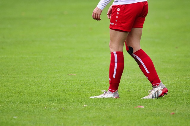 地区都已经 地区都已经