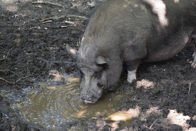 谢震业在心 谢震业在心