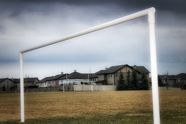 变化带来的 变化带来的