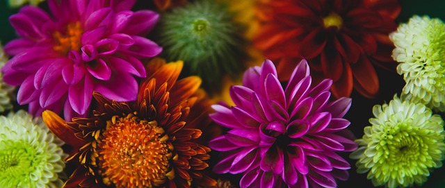 而丁彦雨航 而丁彦雨航