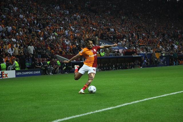 的拉莫斯被 的拉莫斯被