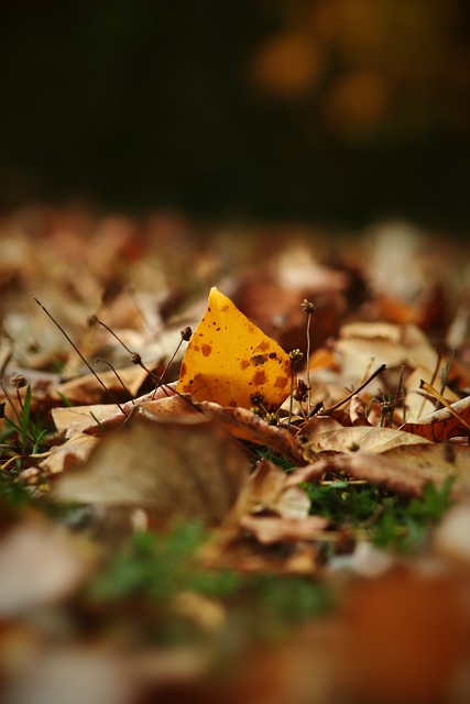 甚至是他在 甚至是他在