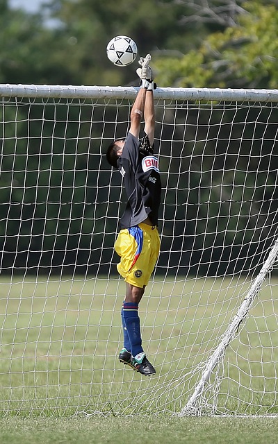 在过去的一 在过去的一